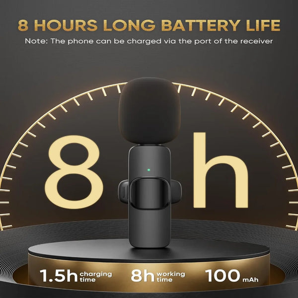 Mini Clip-On Mic Set