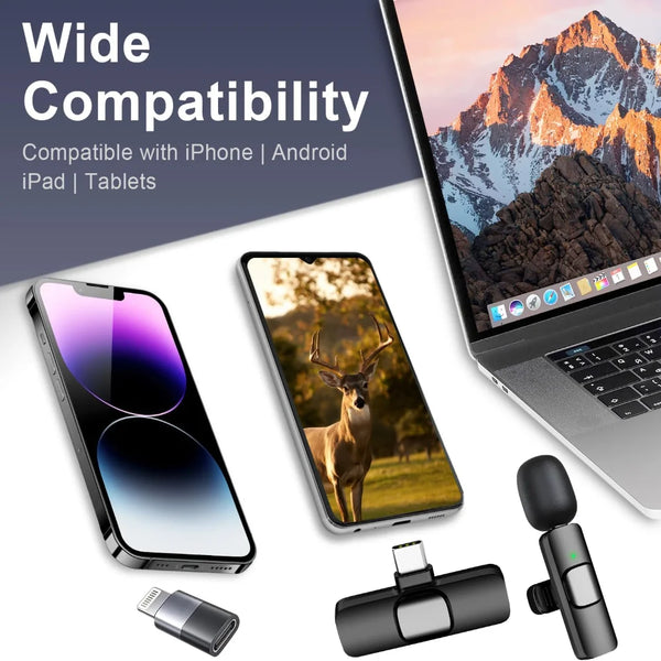 Mini Clip-On Mic Set